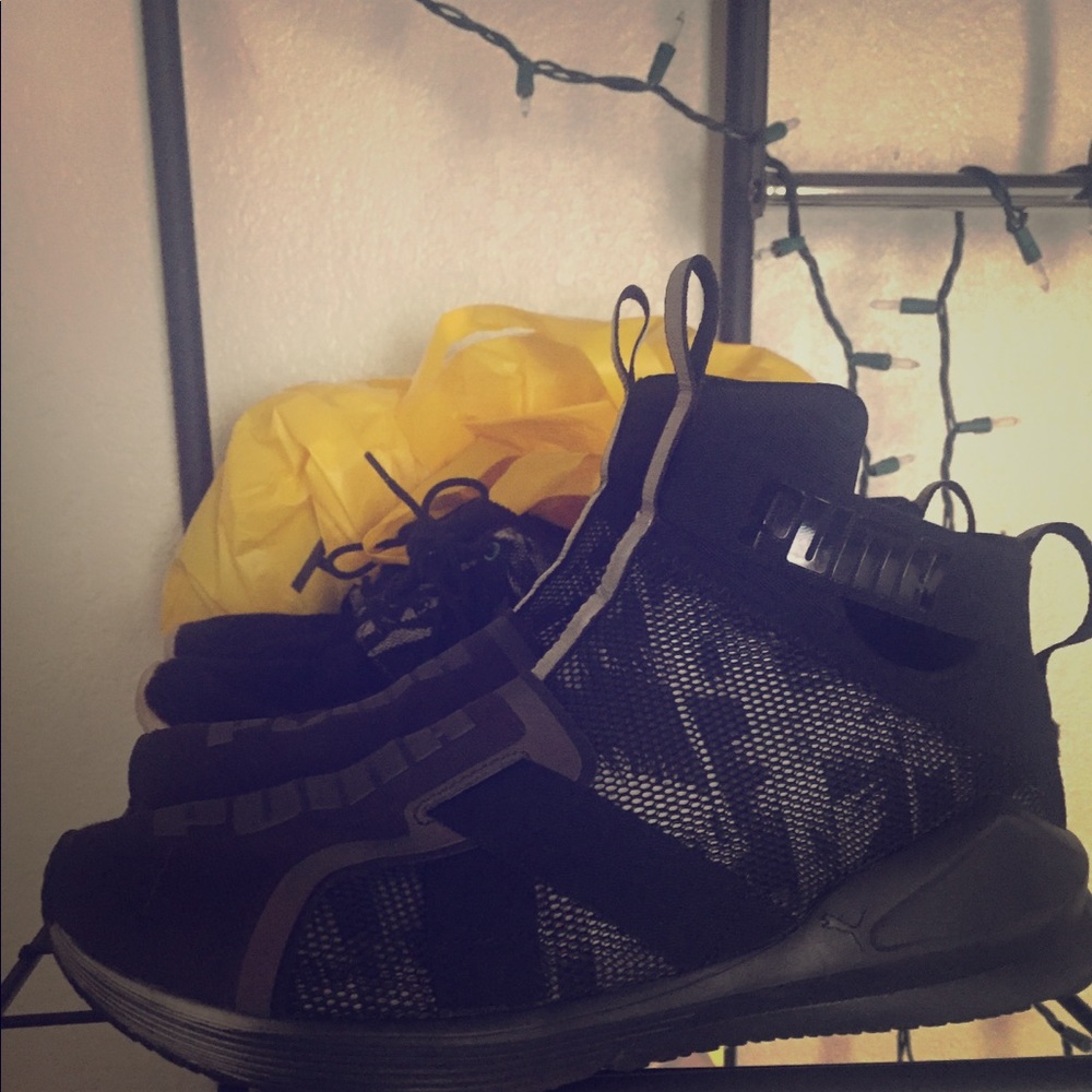 Pumas